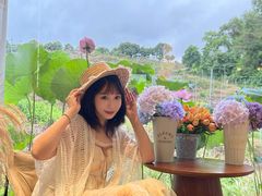 -东莞植物园