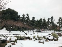 -荆川公园