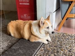 -茶米人台湾料理·精致快简餐