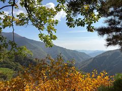 -五女峰国家森林公园