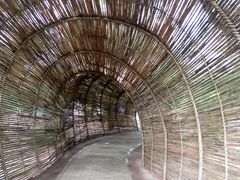 -北海金海湾红树林生态旅游区