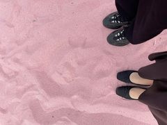 -苏州太湖西山岛开心农场