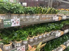 -鹿岛生活(熙地港店)