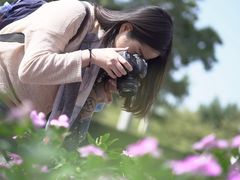 -红瓜子 影视后期 摄影摄像设计 新媒体运营技能培训(宝安校区)