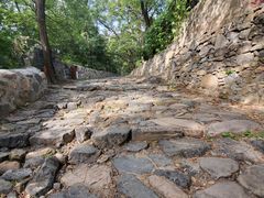 -阳台山自然风景区