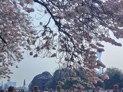 -红星桥(地铁站)