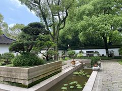 -上海醉白池公园