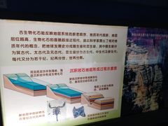 -上海昆虫博物馆