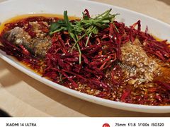 -杨氏青龙虾·羊蝎子(珠江路店)