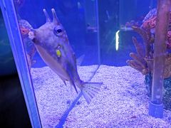 -太平洋海底世界