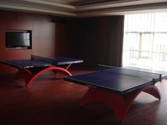 乒乓球房-上海怡沁园度假酒店