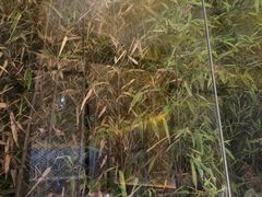 -潮州府·潮菜·砂锅粥(徐家汇店)