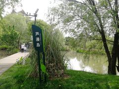 -长兴太湖图影湿地文化园