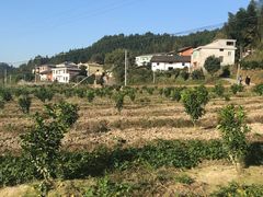 -井冈山革命烈士陵园