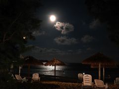 -阿弟特色海鲜餐厅·大排档(平潭店)