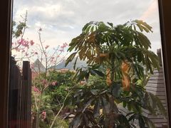 -广州都喜泰丽温泉度假酒店