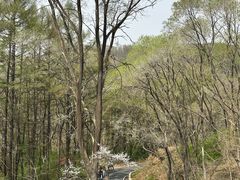 -萨尔浒风景区