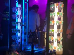 -PAPAYA CLUB 酒吧(深圳旗舰店)