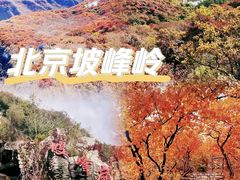 -周口店坡峰岭风景区