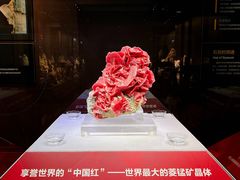 -湖南省地质博物馆