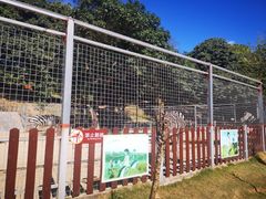 -泉州海丝野生动物世界