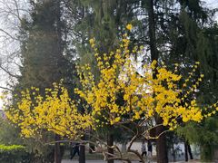 -玲珑塔公园