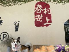 -村上春树