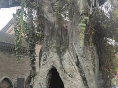 -康百万庄园