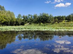 -东郊湿地公园