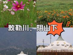 -敕勒川草原