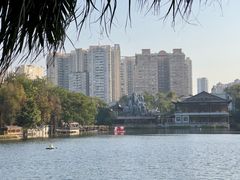 -荔湾湖公园