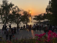 -宝安西湾红树林湿地公园