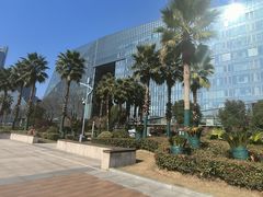 -金沙湖公园
