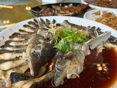 -京北渔家傲