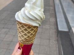 -蜜雪冰城(龙河路店)