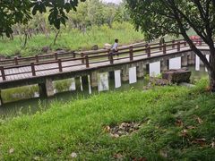 -狼山风景名胜区