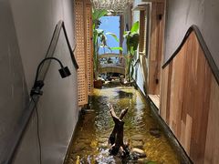 -邈墨茶馆(凤起路店)