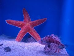 -海合安青岛极地海洋公园