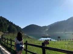 -武陵山森林公园