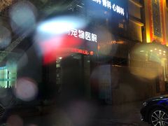 -瑞鹏宠物医院华南总院·夜诊·心脏科·骨科