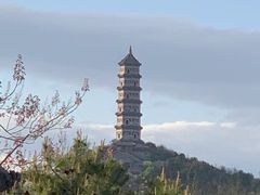 -北坞公园