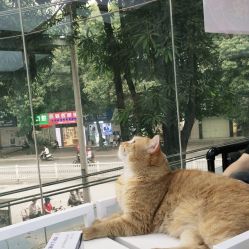 点击看大图 -辛格·潮沙龙