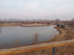 -东郊湿地公园