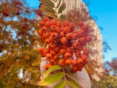 -松浦·观江国际