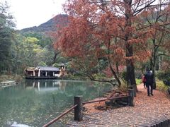 -灵栖洞天