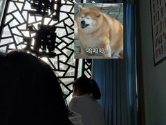 -通透堂中医·精准推拿(旗舰店)