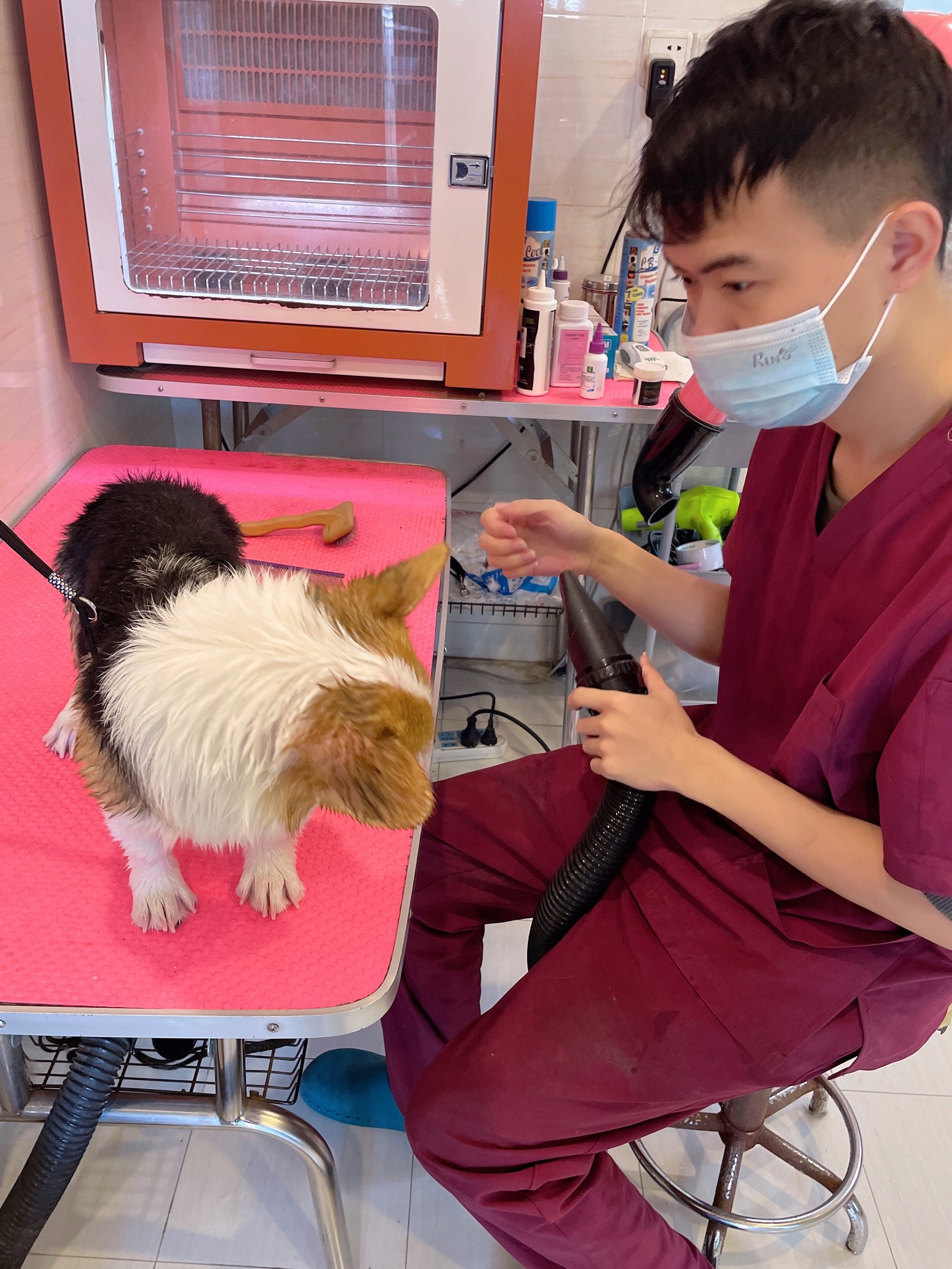 艾贝尔宠物医院