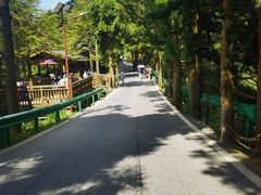 -南岳衡山风景名胜区