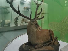 -国家自然博物馆