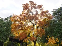 -香山公园-东宫门售票处